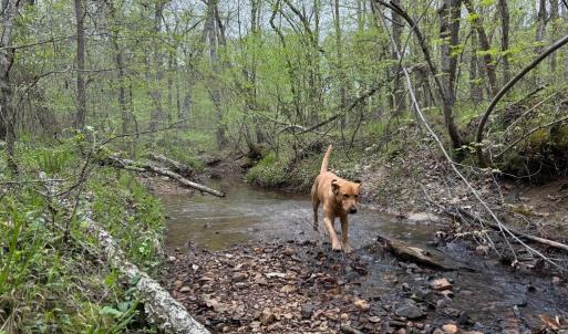 Photo #24 of  30.0 acres