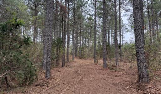 Photo #28 of  30.0 acres