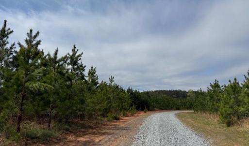 Photo #31 of  30.0 acres