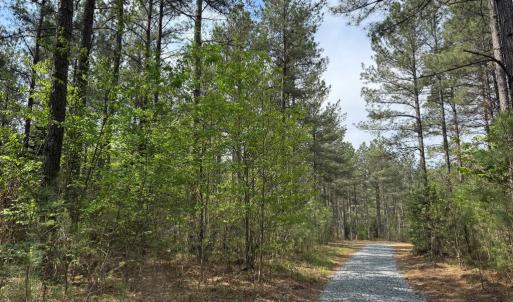 Photo #32 of  30.0 acres