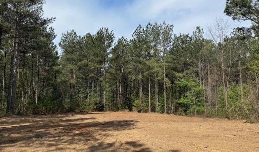 Photo #33 of  30.0 acres
