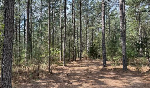 Photo #34 of  30.0 acres