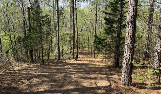 Photo #39 of  30.0 acres