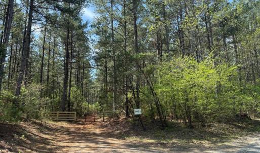 Photo #1 of  36.2 acres