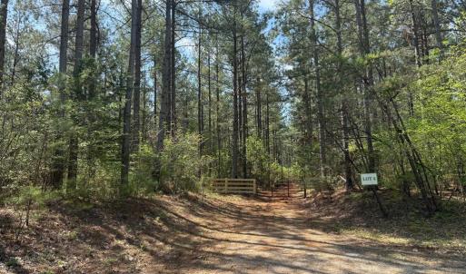 Photo #3 of  36.2 acres