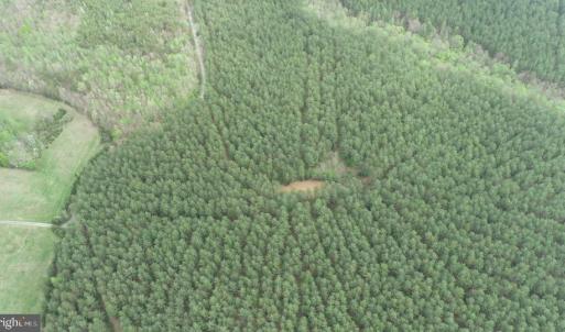 Photo #5 of  36.2 acres