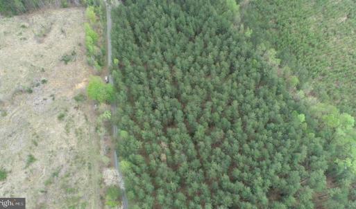 Photo #6 of  36.2 acres