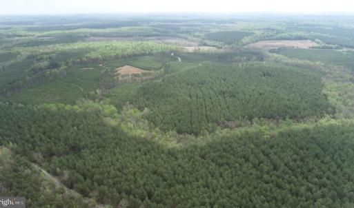 Photo #7 of  36.2 acres