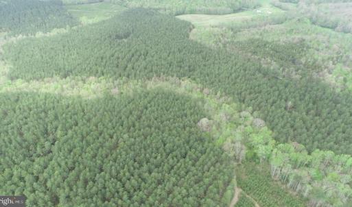 Photo #8 of  36.2 acres