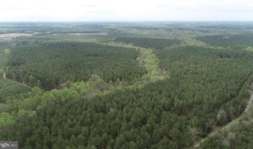 Photo #9 of  36.2 acres