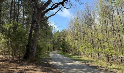 Photo #10 of  36.2 acres