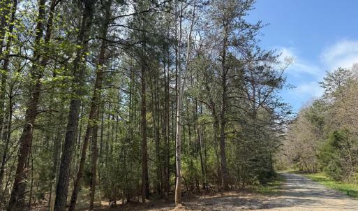 Photo #13 of  36.2 acres