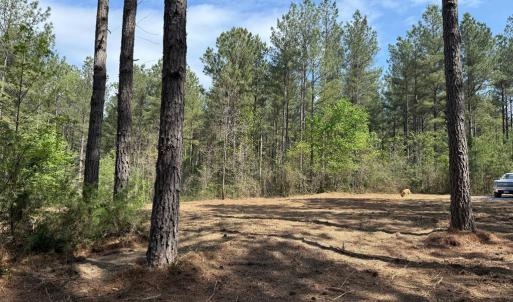 Photo #14 of  36.2 acres