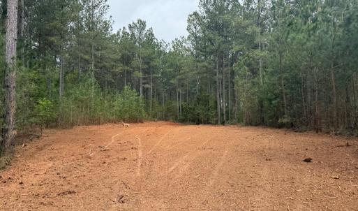 Photo #16 of  36.2 acres
