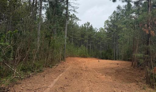 Photo #17 of  36.2 acres