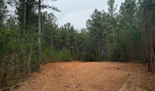 Photo #18 of  36.2 acres