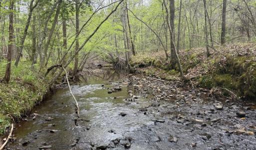 Photo #20 of  36.2 acres