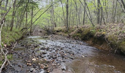 Photo #22 of  36.2 acres