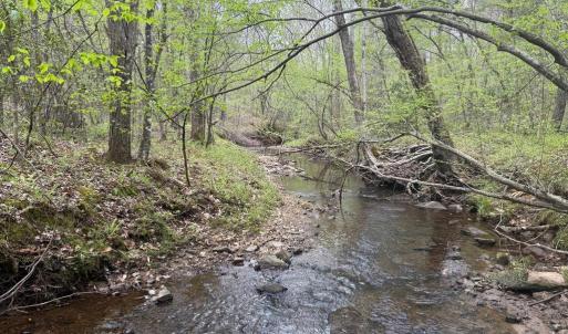 Photo #23 of  36.2 acres