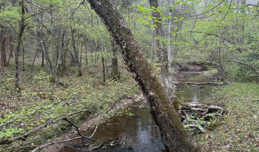 Photo #24 of  36.2 acres