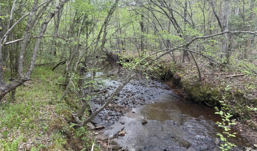 Photo #25 of  36.2 acres