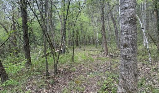 Photo #28 of  36.2 acres