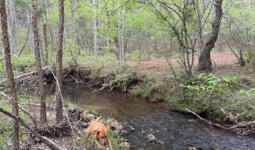 Photo #30 of  36.2 acres
