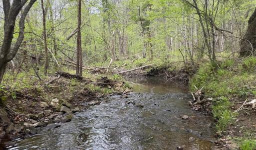 Photo #31 of  36.2 acres