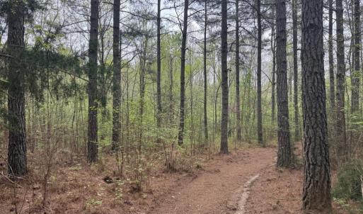 Photo #35 of  36.2 acres