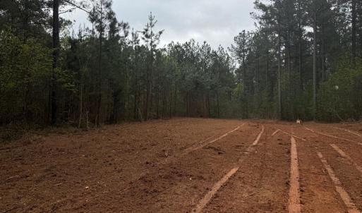 Photo #37 of  36.2 acres
