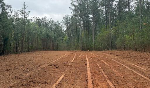 Photo #39 of  36.2 acres
