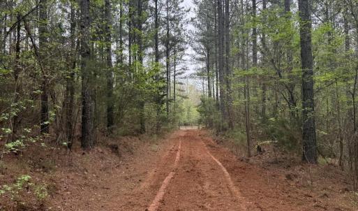 Photo #40 of  36.2 acres