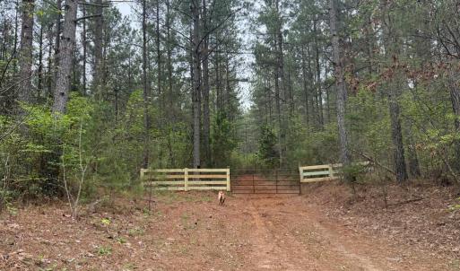 Photo #41 of  36.2 acres