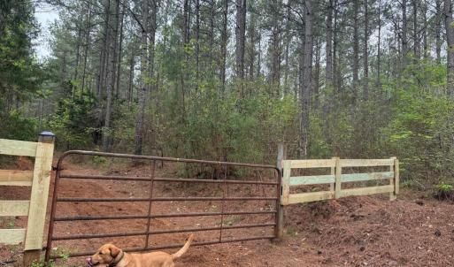 Photo #42 of  36.2 acres