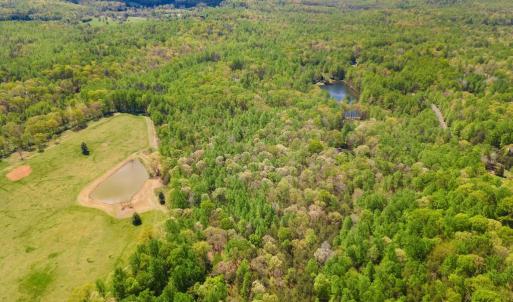 Photo #2 of FLETCHER LN, AMISSVILLE, VA 51.6 acres