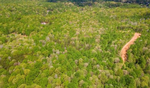 Photo #3 of FLETCHER LN, AMISSVILLE, VA 51.6 acres