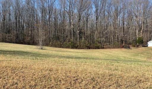 Photo #4 of SECLUSION SHORES DR, MINERAL, VA 1.3 acres