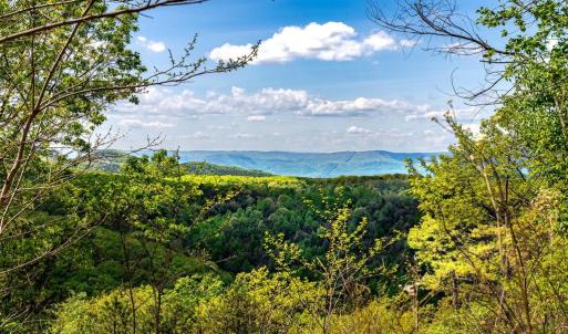 Photo #1 of 1 CUBBAGE HOLLOW ROAD, STANLEY, VA 225.3 acres