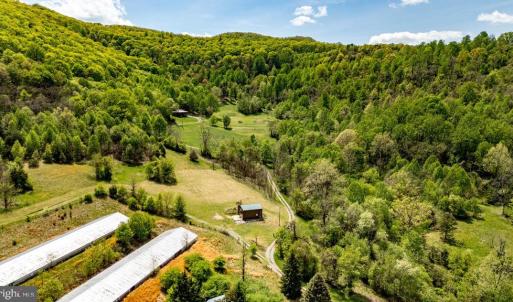 Photo #25 of 1 CUBBAGE HOLLOW ROAD, STANLEY, VA 225.3 acres