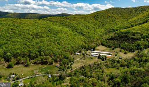 Photo #35 of 1 CUBBAGE HOLLOW ROAD, STANLEY, VA 225.3 acres