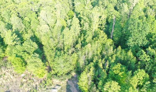 Photo #9 of DEER MOUNTAIN RD, FREDERICKSBURG, VA 5.3 acres