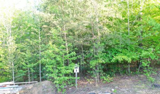 Photo #16 of DEER MOUNTAIN RD, FREDERICKSBURG, VA 5.3 acres