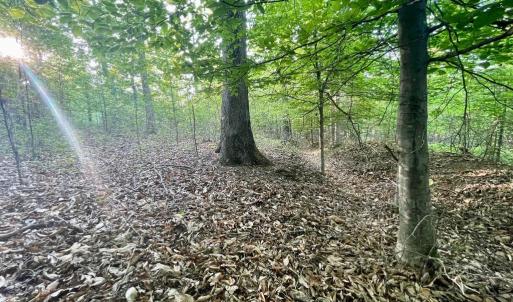 Photo #10 of DEER MOUNTAIN RD, FREDERICKSBURG, VA 5.3 acres