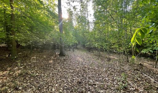Photo #19 of DEER MOUNTAIN RD, FREDERICKSBURG, VA 5.3 acres
