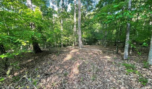 Photo #21 of DEER MOUNTAIN RD, FREDERICKSBURG, VA 5.3 acres