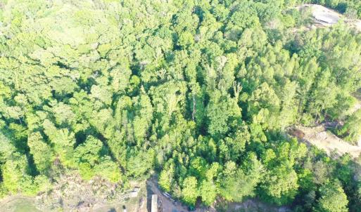 Photo #11 of DEER MOUNTAIN RD, FREDERICKSBURG, VA 5.3 acres