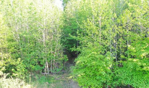 Photo #15 of DEER MOUNTAIN RD, FREDERICKSBURG, VA 5.3 acres