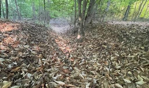Photo #7 of DEER MOUNTAIN RD, FREDERICKSBURG, VA 5.3 acres