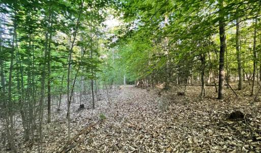 Photo #5 of DEER MOUNTAIN RD, FREDERICKSBURG, VA 5.3 acres