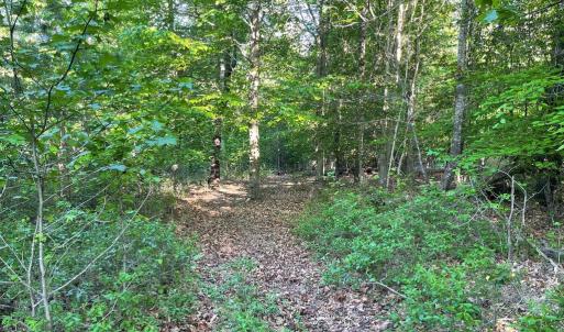 Photo #18 of DEER MOUNTAIN RD, FREDERICKSBURG, VA 5.3 acres